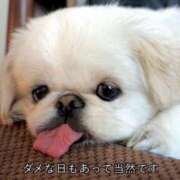 ヒメ日記 2026/06/01 07:32 投稿 ★坂田めり★ CLUB39（クラブサンキュー）