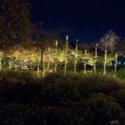 りりか 早めが嬉しい🥺💭 Polaris（ポラリス）