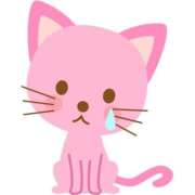 ヒメ日記 2025/12/13 15:22 投稿 りりか Polaris（ポラリス）