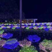 ヒメ日記 2025/12/16 14:02 投稿 りりか Polaris（ポラリス）