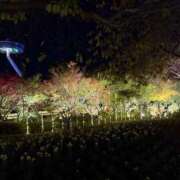 ヒメ日記 2025/12/17 01:52 投稿 りりか Polaris（ポラリス）