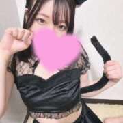 ヒメ日記 2025/10/02 12:16 投稿 テン バニーコレクション新潟店