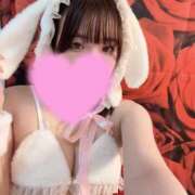 ヒメ日記 2025/10/05 09:15 投稿 テン バニーコレクション新潟店