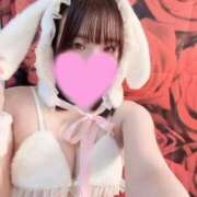 ヒメ日記 2025/12/14 16:36 投稿 テン バニーコレクション新潟店