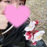 ヒメ日記 2026/03/25 19:27 投稿 テン バニーコレクション新潟店