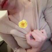 ヒメ日記 2025/12/07 16:47 投稿 あいか シロガネーテ白金(ユメオト)