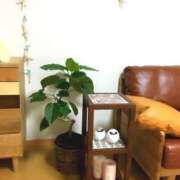 ヒメ日記 2025/09/29 03:45 投稿 舞花-まいか【FG系列】 ほんつま 沼津店 (FG系列)