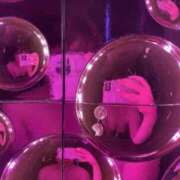 ヒメ日記 2025/10/01 15:33 投稿 律原せりな＠ペニバンファッ〇ン アナラードライ