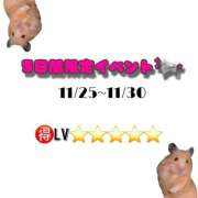 ヒメ日記 2025/11/26 20:04 投稿 らず ごほうびSPA横浜店