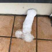 ヒメ日記 2026/02/11 18:14 投稿 らず ごほうびSPA横浜店