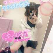 ヒメ日記 2025/10/22 02:00 投稿 かほ ピーチハニー