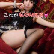 ヒメ日記 2025/09/23 22:21 投稿 くるみ 優しいM性感 五反田