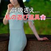 ヒメ日記 2025/10/04 22:00 投稿 くるみ 優しいM性感 五反田