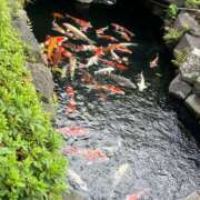 ヒメ日記 2025/09/20 16:08 投稿 ゆり 東京デザインリング錦糸町店