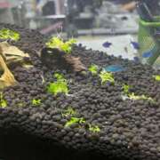 ヒメ日記 2025/09/29 17:57 投稿 ゆり 東京デザインリング錦糸町店