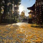 ヒメ日記 2025/10/06 18:55 投稿 ゆり 東京デザインリング錦糸町店