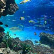 ヒメ日記 2025/10/10 18:22 投稿 ゆり 東京デザインリング錦糸町店