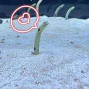 ヒメ日記 2025/10/12 08:35 投稿 ゆり 東京デザインリング錦糸町店