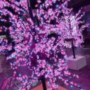 ヒメ日記 2025/11/26 23:08 投稿 ゆり 東京デザインリング錦糸町店