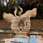 ヒメ日記 2026/01/01 13:01 投稿 ゆり 東京デザインリング錦糸町店