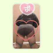 ヒメ日記 2025/12/30 14:47 投稿 きの 群馬伊勢崎ちゃんこ