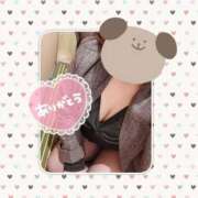 ヒメ日記 2026/04/07 16:27 投稿 きの 群馬伊勢崎ちゃんこ