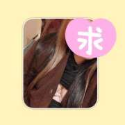 ヒメ日記 2026/04/07 22:17 投稿 きの 群馬伊勢崎ちゃんこ