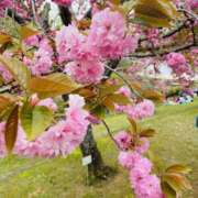 めい 次回の……💕 モアグループ小山人妻花壇