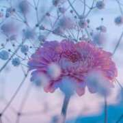 橘　ゆうか [お題]from:サンバさん 極みSPAネクサス東海(旧イマジン名古屋)