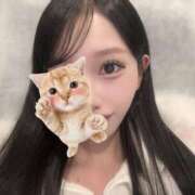 ヒメ日記 2025/10/23 23:01 投稿 れい★ドM100％即イキJD★ Chloe錦糸町店 S級素人清楚系デリヘル