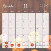 ヒメ日記 2025/11/25 23:40 投稿 西園寺かなで 色気あるワイフ