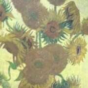 ヒメ日記 2025/09/21 17:57 投稿 らむ ふわふわコレクション