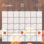 ヒメ日記 2025/11/16 23:43 投稿 西園寺かなで 美魔女エステ