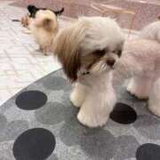 ヒメ日記 2025/09/23 20:44 投稿 なぎさ♡ロリ顔の黒髪巨乳♡ ぴゅあぱい＆ぷりてぃ♡ぴゅあグループ誠実すぎる風俗♡返金保証店♡八代宇土