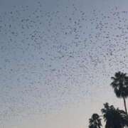 ヒメ日記 2025/11/07 11:14 投稿 のざき Sweet Room