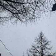 ヒメ日記 2025/12/03 23:29 投稿 あず チューリップ仙台店