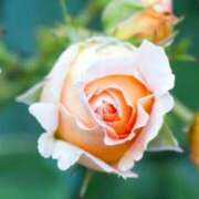 ヒメ日記 2025/12/04 08:51 投稿 あず チューリップ仙台店