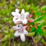 ヒメ日記 2025/12/05 16:46 投稿 あず チューリップ仙台店