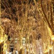 あず 光のページェント2025? チューリップ仙台店