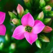 ヒメ日記 2025/12/09 09:13 投稿 あず チューリップ仙台店