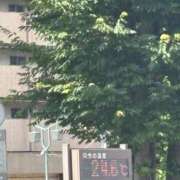 ヒメ日記 2026/06/16 10:08 投稿 あまね 奥様はエンジェル　立川店