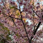 ヒメ日記 2026/03/20 18:00 投稿 あさひ パンドラ(上野)