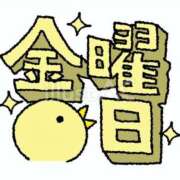 ヒメ日記 2026/05/15 10:50 投稿 あさひ パンドラ(上野)