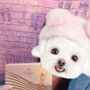 涼森めい ･ᴗ･ )੭'' 手コキ研修塾