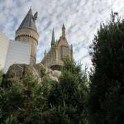 ヒメ日記 2026/01/30 17:20 投稿 定岡 鶯谷デッドボール