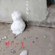 ヒメ日記 2026/02/08 09:30 投稿 定岡 鶯谷デッドボール