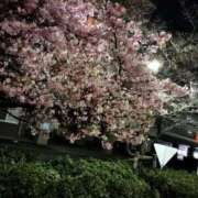 ヒメ日記 2026/02/26 14:49 投稿 定岡 鶯谷デッドボール