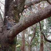 ヒメ日記 2026/03/26 11:34 投稿 定岡 鶯谷デッドボール