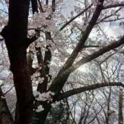 定岡 お礼日記💌3/29 サボイ U様 鶯谷デッドボール