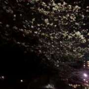 ヒメ日記 2026/04/29 16:53 投稿 定岡 鶯谷デッドボール